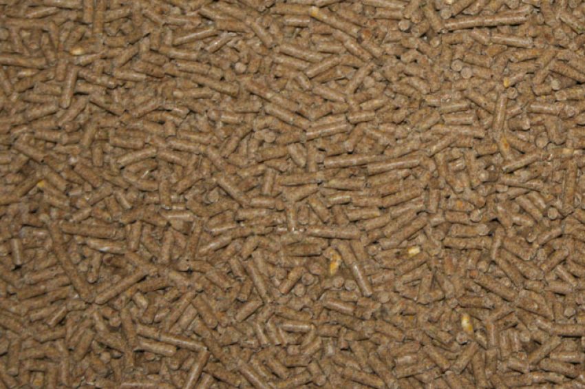 Horse Feed Pellets
