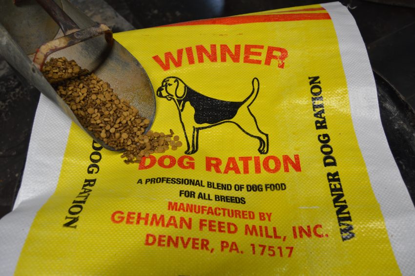 dog food