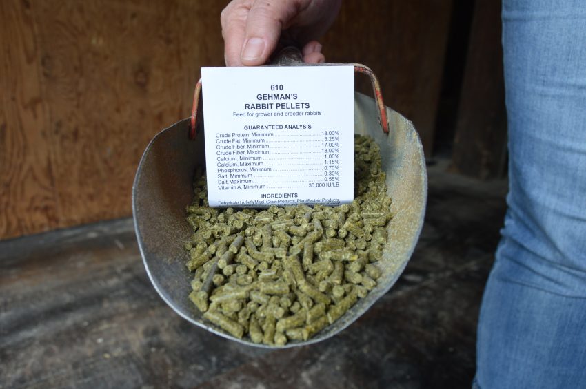 rabbit pellets